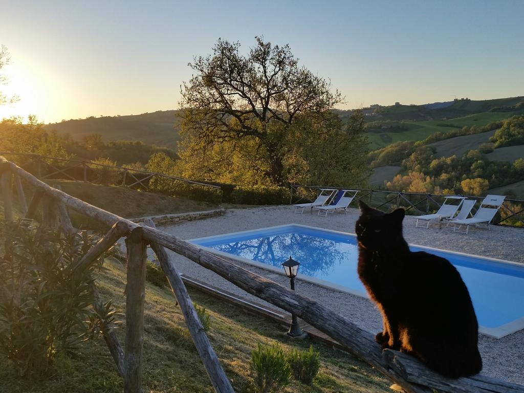 Agriturismo Tre Querce Penna San Giovanni Luaran gambar